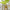 Test Tube Flower Vase Propagation Station Alternate Image 2 Kate Aspen | Bud Vase