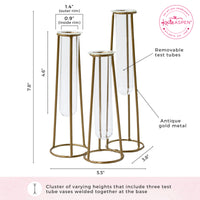 Test Tube Flower Vase Propagation Station