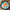 Tropical Chic 9 in. Premium Paper Plates (Set of 8)