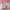 Unicorn Favor Box (Set of 12)
