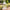 LED Vintage Decorative Ivory Lantern - Hampton Alternate Image 2, Kate Aspen | Lanterns