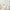 Wedding Guest Book Alternative - Botanical Garden Main Image, Kate Aspen | Guest Book