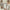 Wedding Guest Book Alternative - Rustic Garden Main Image, Kate Aspen | Guest Book