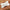 Doggone Cute Trinket Dish Alternate Image 2, Kate Aspen | Trinket Dish