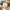 Thankful White Pumpkin Decorative Bowl Main Image, Kate Aspen | Planter