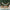 Floral Brunch Party Kit Alternate Image 2, Kate Aspen | Party Kit