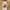 Burgundy Blush Floral 7 in. Premium Paper Plates (Set of 16) Main Image, Kate Aspen | Paper Plate