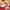 Burgundy Blush Floral 7 in. Premium Paper Plates (Set of 16) Alternate Image 2, Kate Aspen | Paper Plate