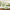 Botanical Garden 7 in. Premium Paper Plates (Set of 16) Alternate Image 2, Kate Aspen | Paper Plate