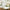 Botanical Garden 9 in. Premium Paper Plates (Set of 16) Alternate Image 2, Kate Aspen | Plates