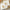 Boho 2 Ply Paper Napkins (Set of 30) Main Image, Kate Aspen | Napkin