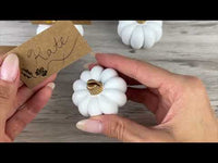Sage Green Pumpkin Place Card Holder (Set of 6)