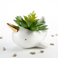 Thumbnail for Narwhal Ceramic Planter