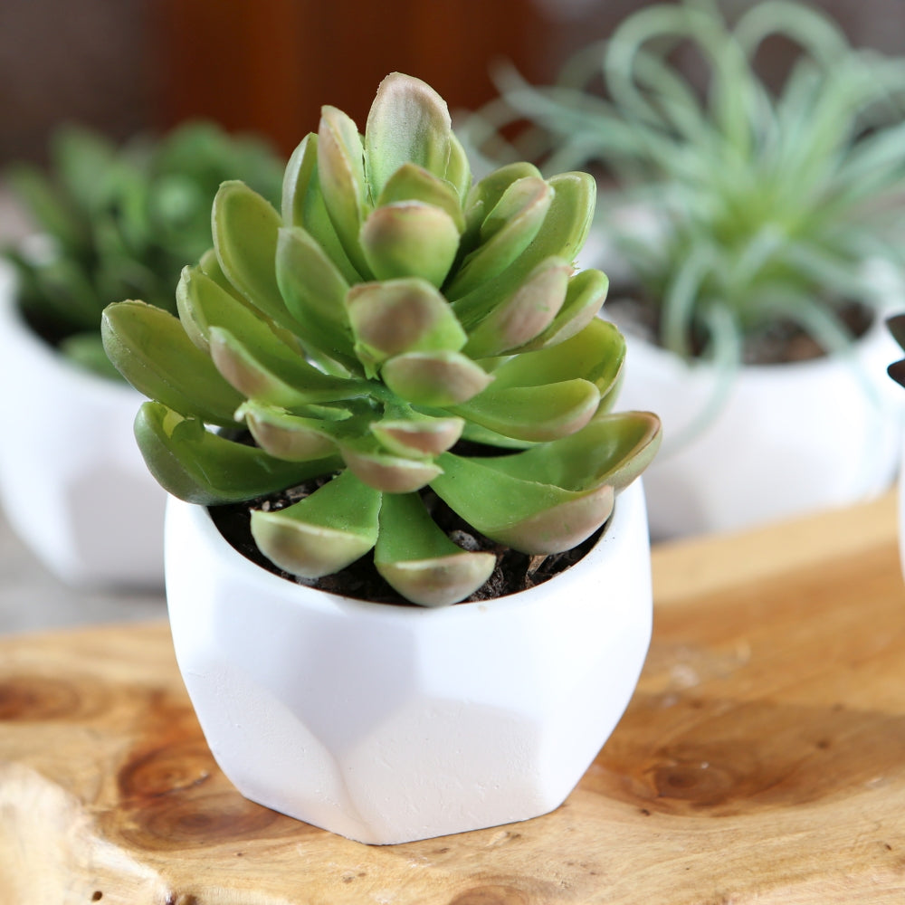 Modern Garden Geometric White Planter (Set of 4)