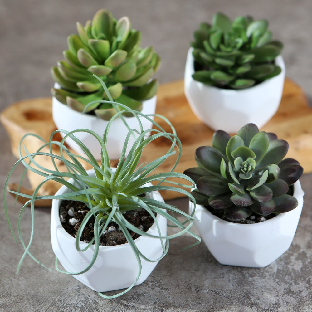 Modern Garden Geometric White Planter (Set of 4)