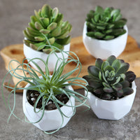 Thumbnail for Modern Garden Geometric White Planter (Set of 4)
