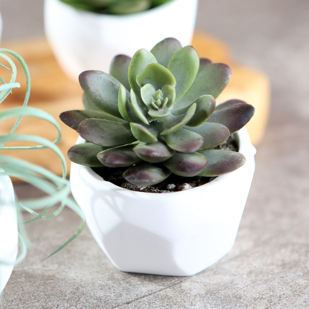 Modern Garden Geometric White Planter (Set of 4)