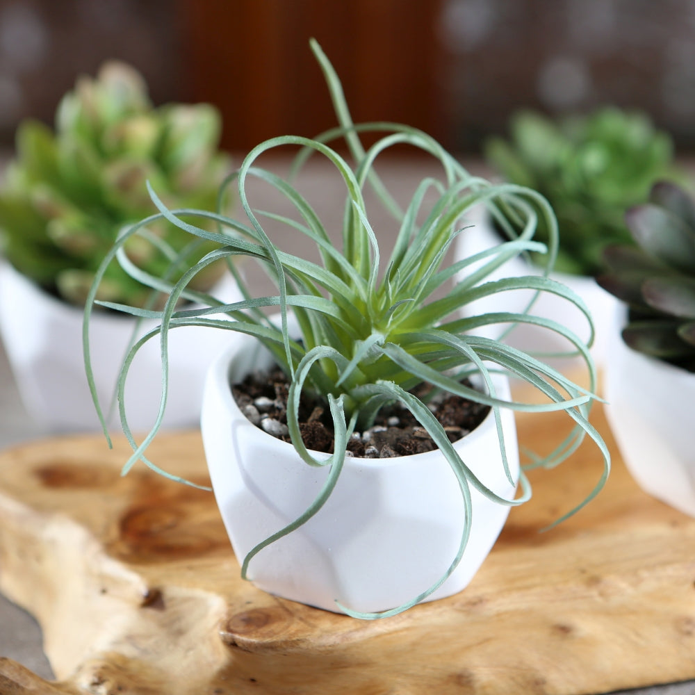 Modern Garden Geometric White Planter (Set of 4)