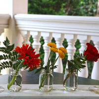 Thumbnail for 3 oz. Mini Mason Jar - DIY (Set of 12) Alternate Image 7, Kate Aspen | Mason Jars