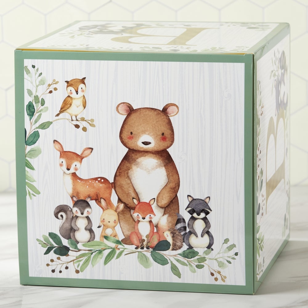 Woodland Baby Block Box (Set of 4) Alternate Image 4, Kate Aspen | Photo Props