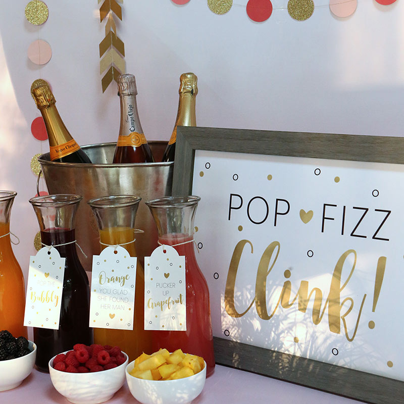 Mimosa Bar 10-Piece Kit - Classic