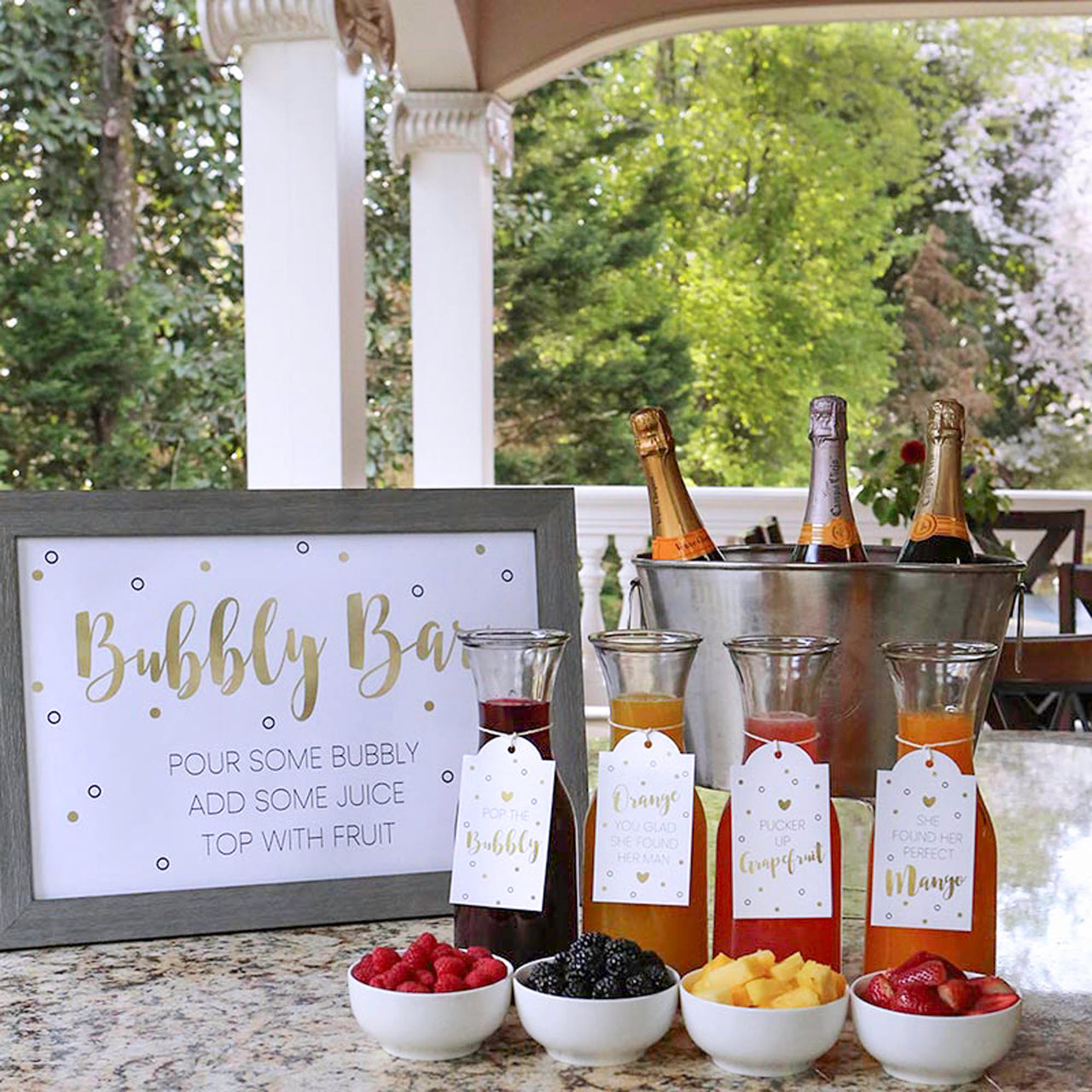 Mimosa Bar 10-Piece Kit - Classic