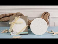 By the Shore Sand Dollar Coaster